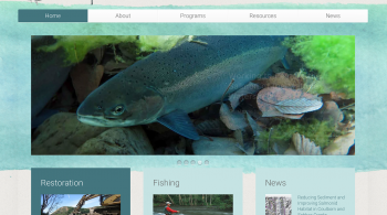 Mattole Salmon Group homepage